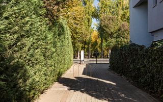 Timisoara - Girocului Vila 12 Camere 4 Bai | 497mp Utili 1373mp Teren - Poză 43