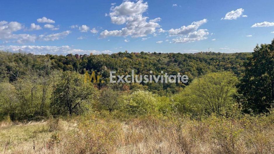 Teren Babana 5000mp intravilan - Poză 8