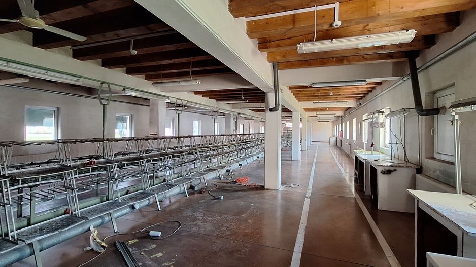 HALE de inchiriat - productie/depozitare/birouri - Poză 17