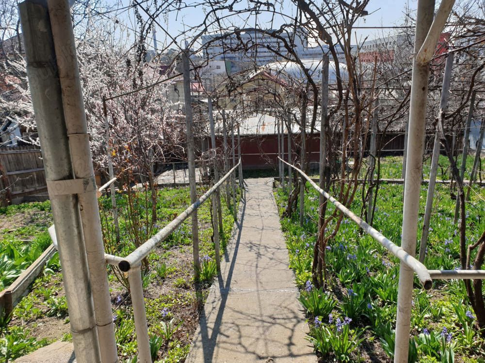 Vand casa bătrânesca - Poză 4