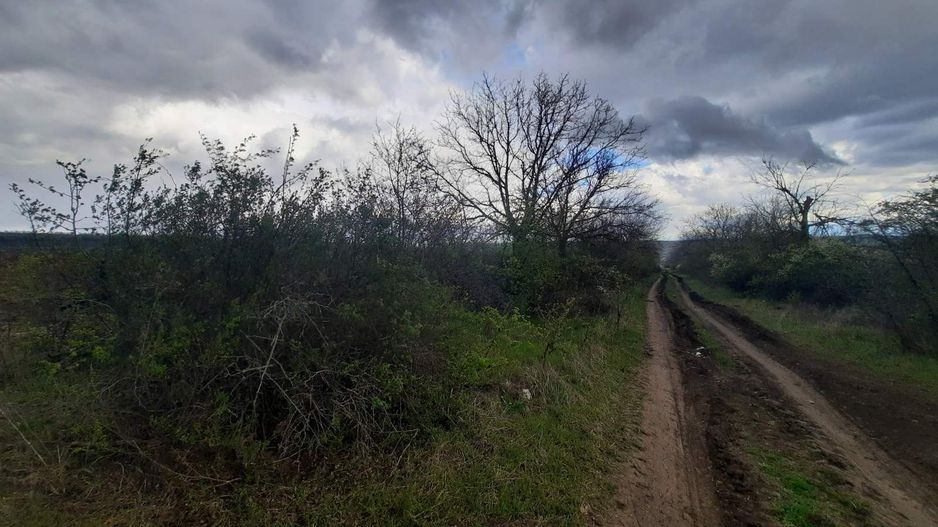 Teren agricol, Boșcana, 20 ari - Poză 2