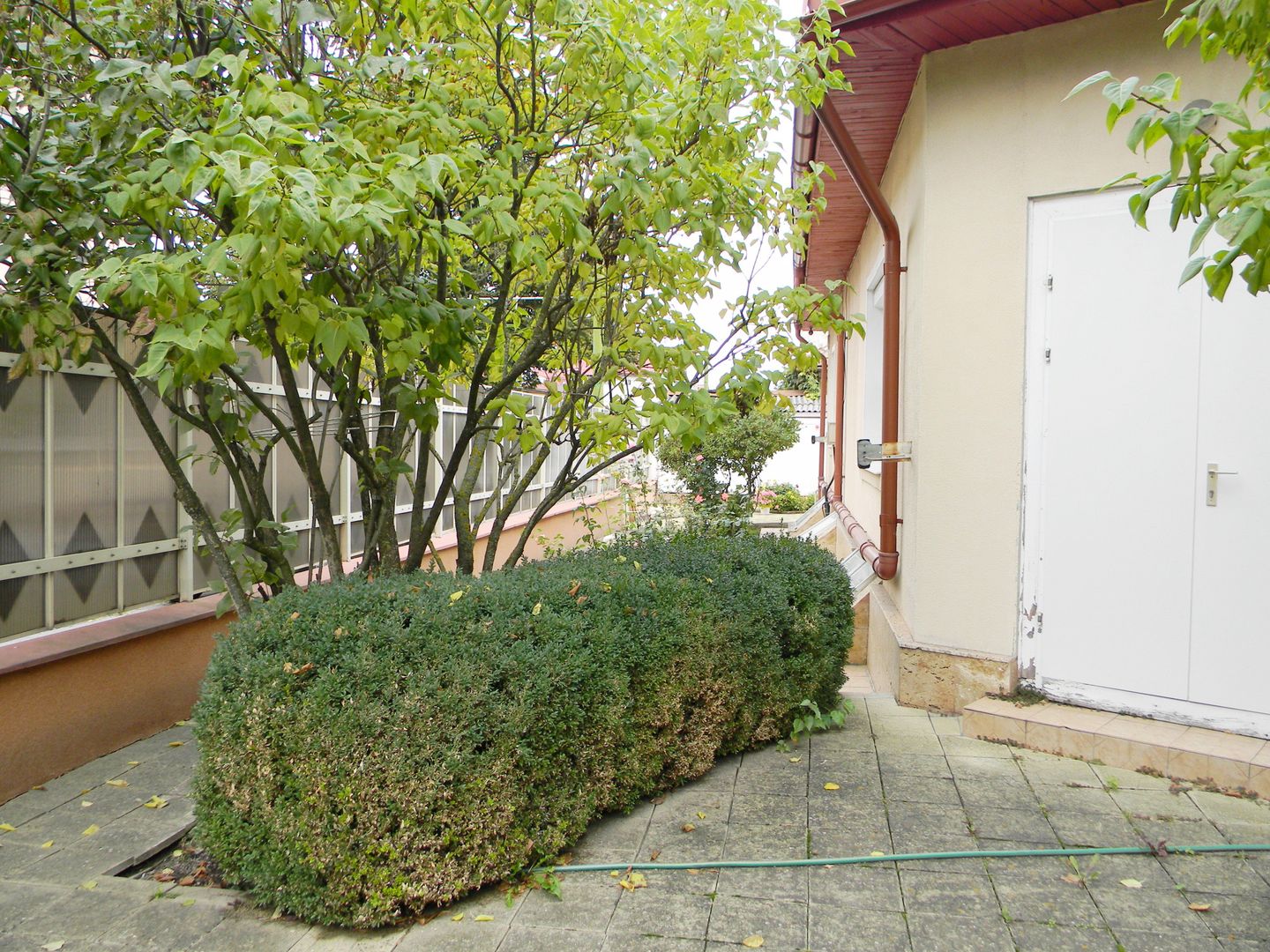 Vila cu suprafata de 360mp si teren 700mp-Racadau,vanzare sau inchirie - Poză 11