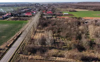 Ferma si livada de meri in judetul Ilfov - Poză 12