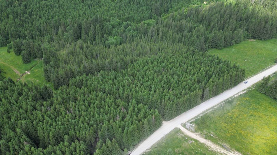 Teren extravilan 5000 MP Comandau - Poză 3