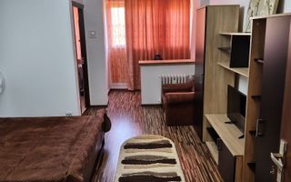 Garsonieră Brazda lui Novac - Poză 4