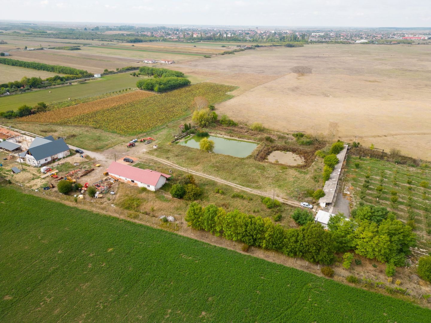 Teren intravilan cu iazuri și casă - Chișineu-Criș - Poză 22