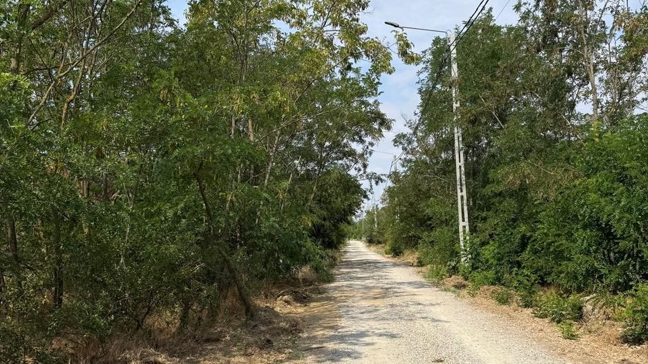 Teren intravilan Miersig, vedere la lac. 12,5 E/mp neg. Comision 0 - Poză 15