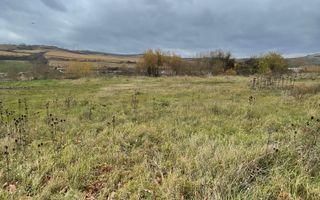 Teren 720 mp| Intravilan |Șura Mare - Poză 3