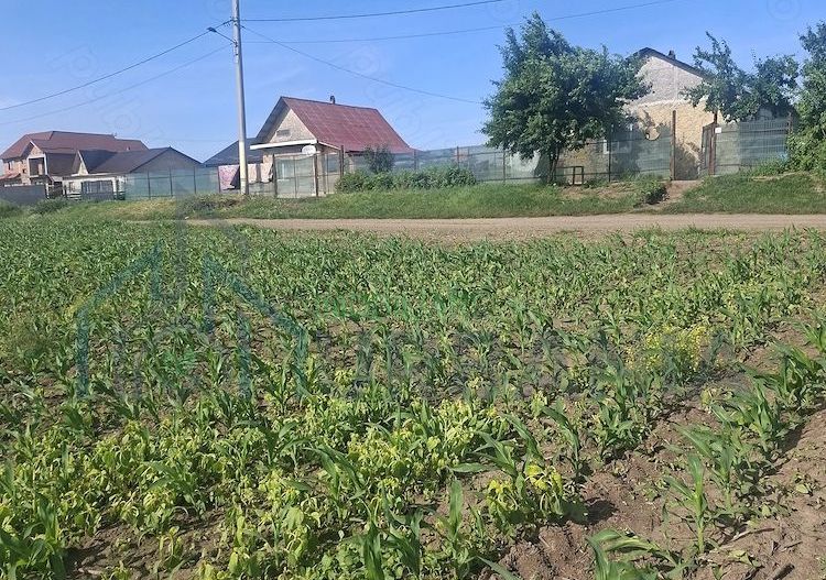 Teren de 6500 mp pentru construcție casă, Popesti - Poză 1
