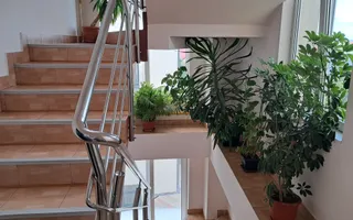 Apartament de 5 camere în Vilă , ideal ivestiție, parcări - Poză 11