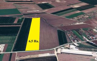 Unicat ! Dascalu, 65.000 mp. teren cu deschidere de 102 ml. la DJ 200 - Poză 1