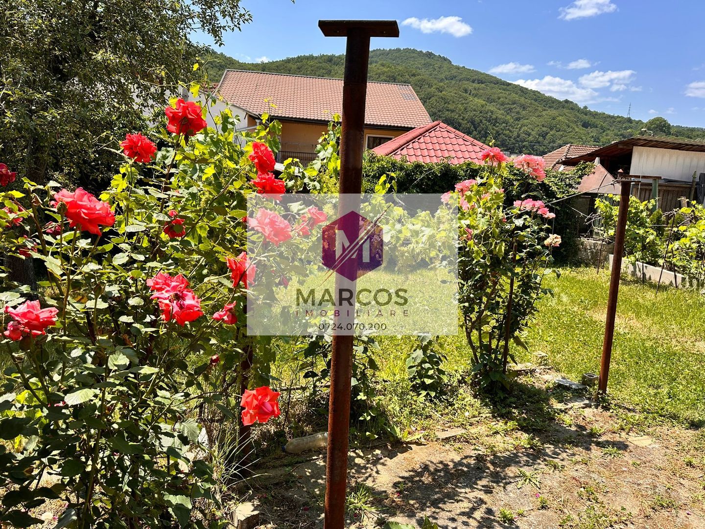 Vand casa 3 camere Muncitoresc - Poză 19