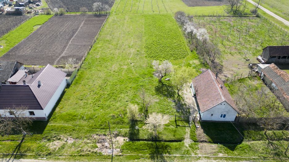 Teren intravilan 1440 mp în Adea - Poză 9