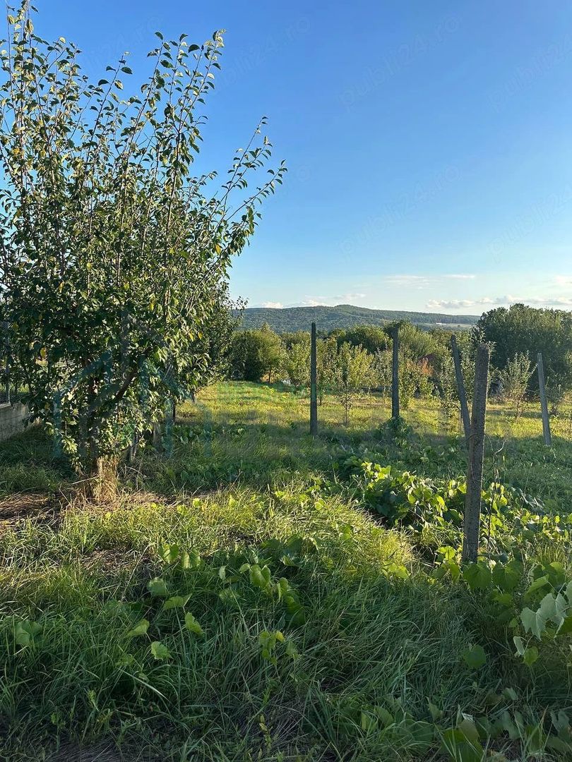 Teren intravilan de vânzare în centrul comunei Bârnova, Iași - Poză 3