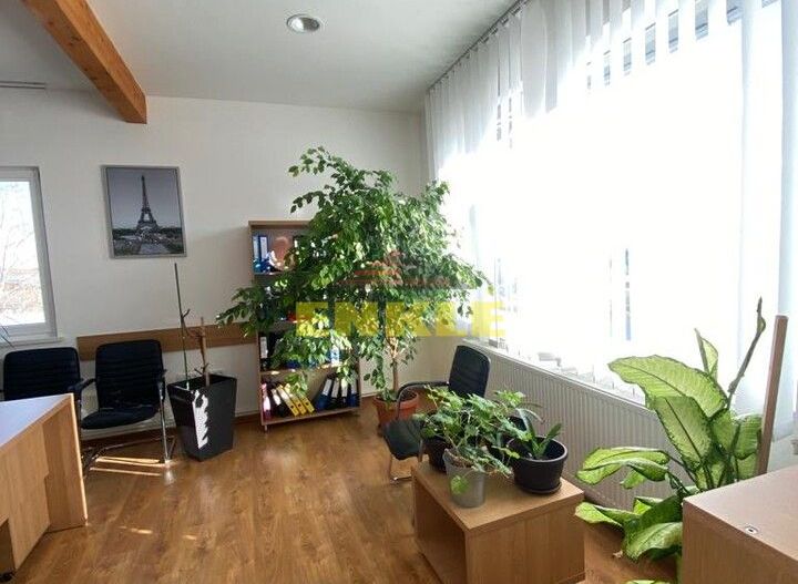 Spatiu comercial pentru birouri , suprafata intre 50-150 mp,zona Calea Nationala /Zona Industriala,pret 5 euro mp - Poză 6