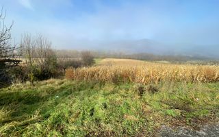 Teren 2.500 mp I Gușterița I PUZ I Aprobat I Ideal Dezvoltare - Poză 1