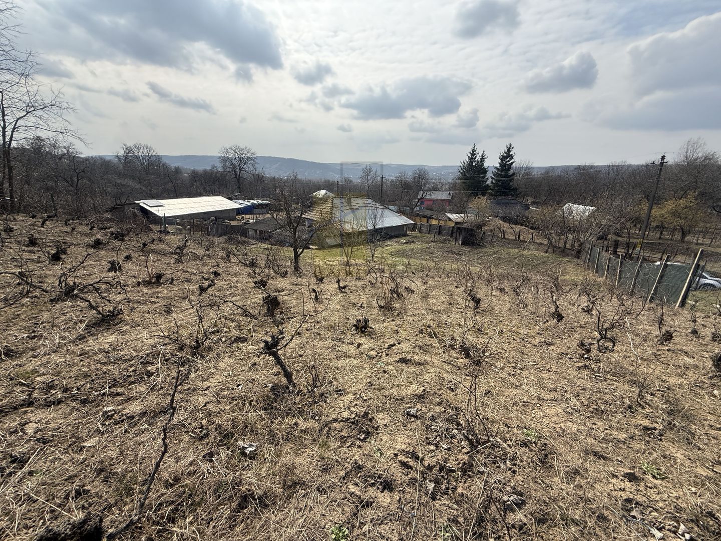Teren intravilan Dobrovat + Casa Batraneasca - Poză 7