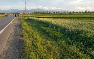 Teren intravilan Stupini front la Calea Feldioarei, DN 13