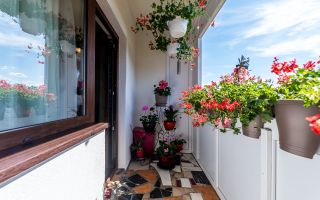 Apartament renovat cu 2 camere Micalaca etaj 3 Comision 0 - Poză 2