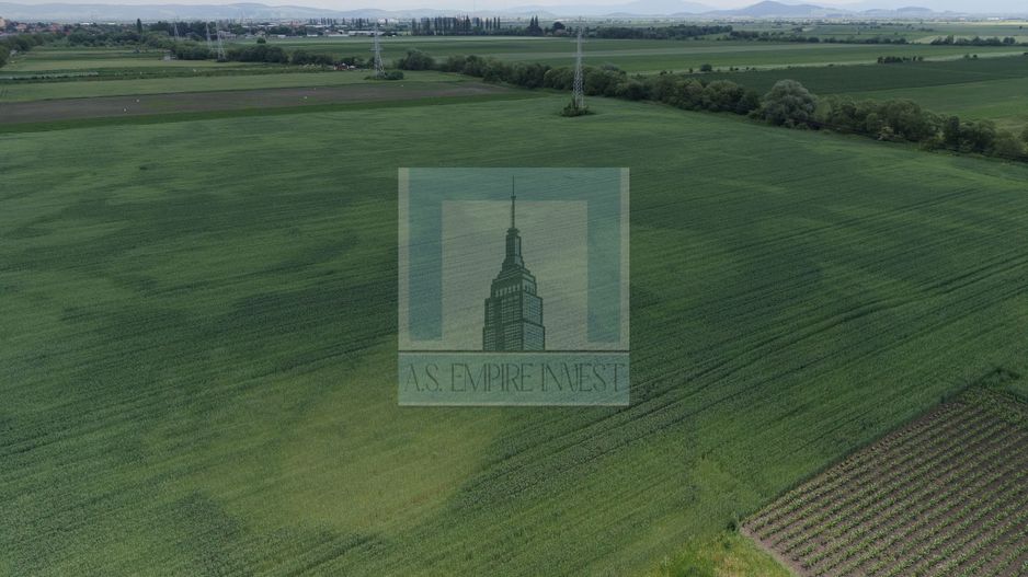 Teren intravilan 50000 mp, cu PUZ, Aprobat - zona Halchiu/Codlea - Poză 12