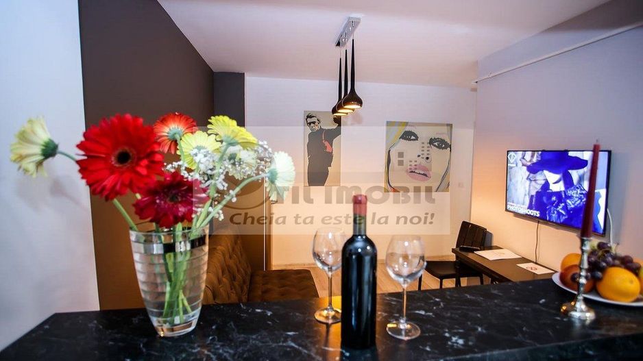 Apartament 3 Camere Metropolitan Iassium Luxury Suites - 700 euro - Poză 3