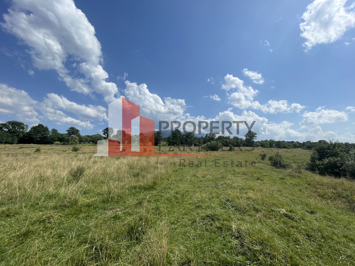 Teren de vanzare in  Tohanu Nou-Sohodol 6200 mp - Poză 9