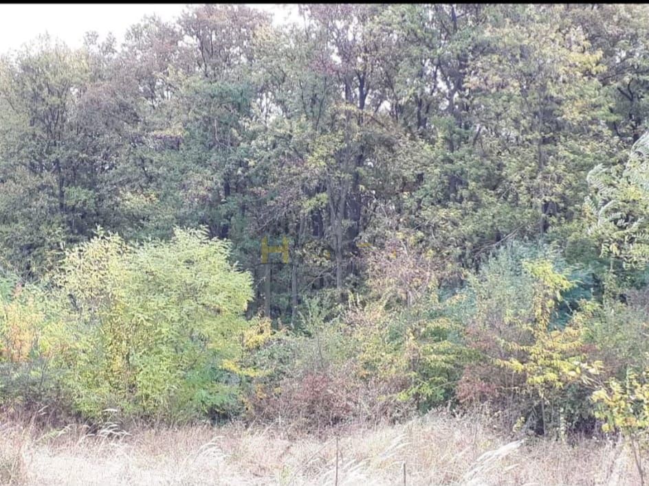 Teren Gruiu sat Lipia - Poză 1