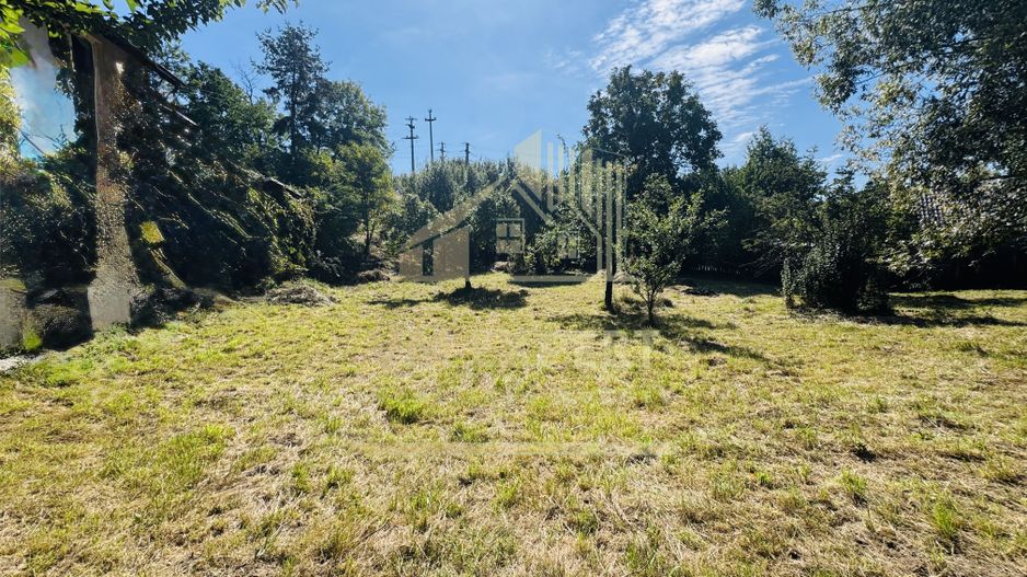 TEREN INTRAVILAN 3234 MP LEREȘTI VOINEȘTI ARGEȘ - Poză 2