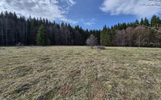 Teren intravilan la baza pădurii Valea Doftanei sat Traisteni (poduri) - Poză 5