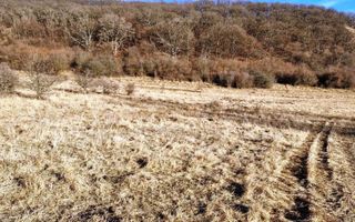 Teren 46.300 mp-zona Gușterița!! - Poză 2