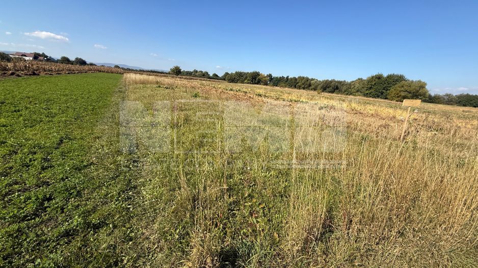 Teren intravilan | Volovat | 2200 mp - Poză 2