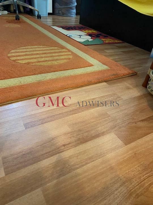 Apartament 2 camere Gorjului - Poză 12