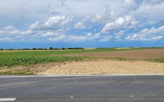 teren de vanzare in Nojorid - Poză 1