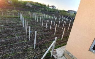 Vând casă și teren - Poză 8