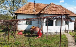 Casă cu hală industrială Drăguțești - Poză 1