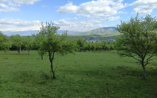 Teren Extravilan I Cisnadie I 3.506 MP - Poză 2