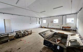 HALĂ Industrială/Producție 573mp, Teren 2793mp, DJ 107F, Comision 0 - Poză 7