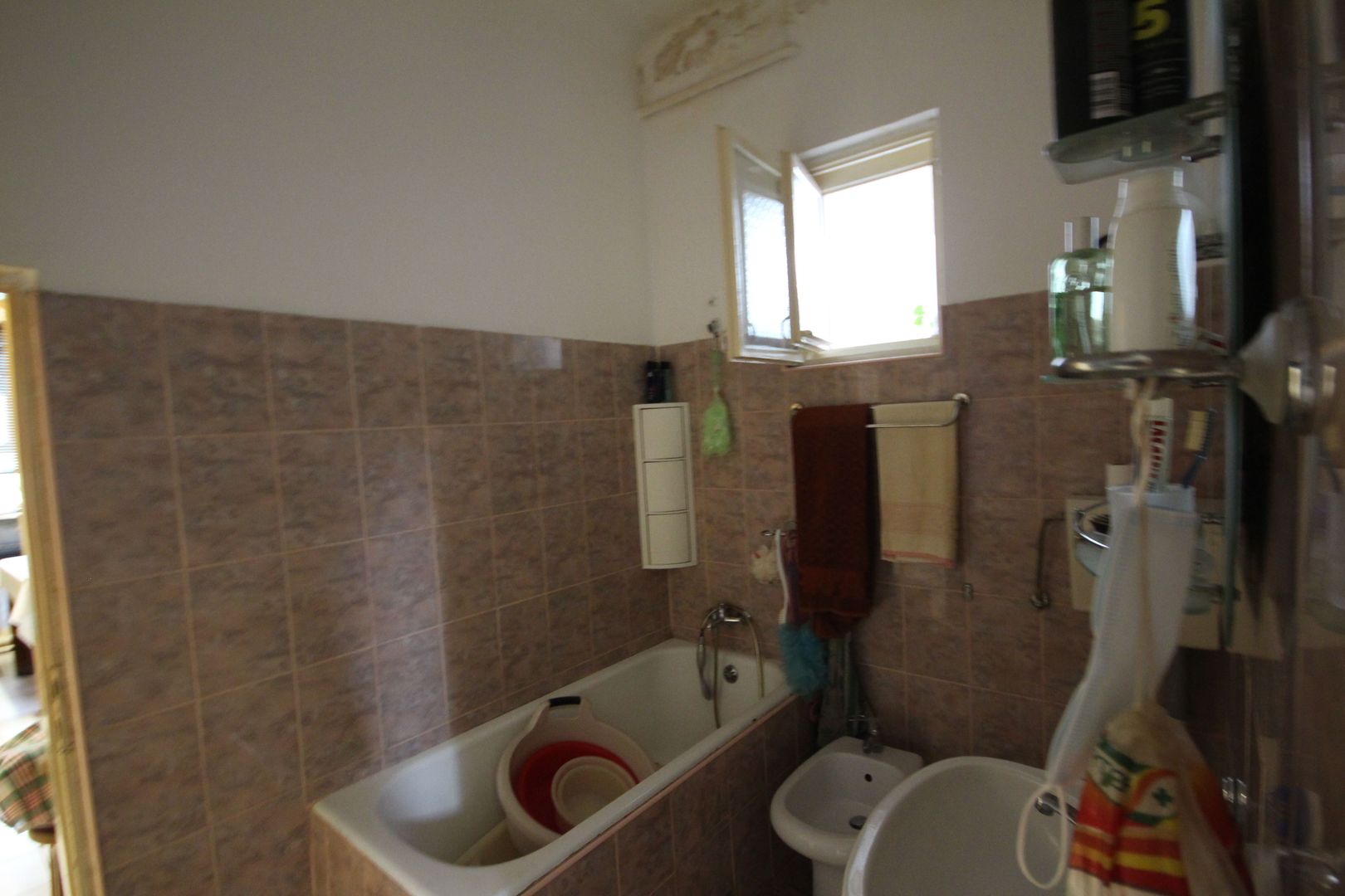 Ideala pentru diferite activitati - Poză 11