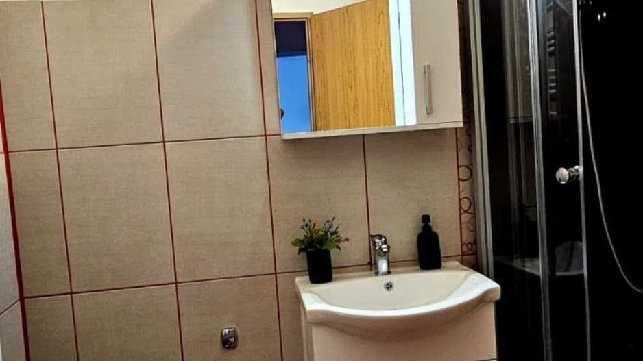 Inchiriere apartament 2 camere | Unirii-Octavian Goga - Poză 3