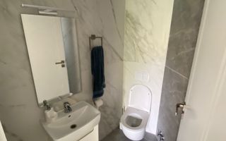 Vila moderna Dumbravita - Poză 9