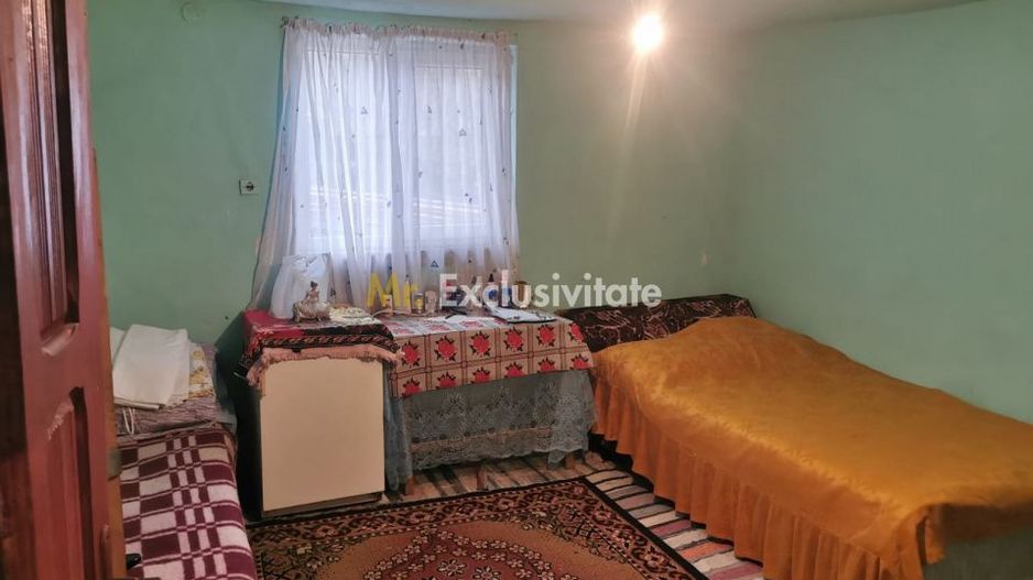 De vanzare casa in Argetoaia cu teren 7.000 mp - Poză 10