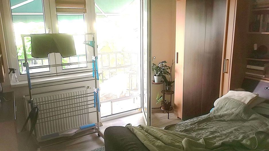 Apartament Plevnei / Orhideea - Poză 5