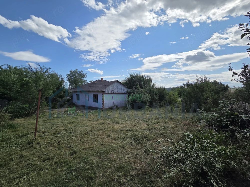 Teren intravilan 1.335 mp cu casă, comuna Erbiceni, județul Iași - Poză 2