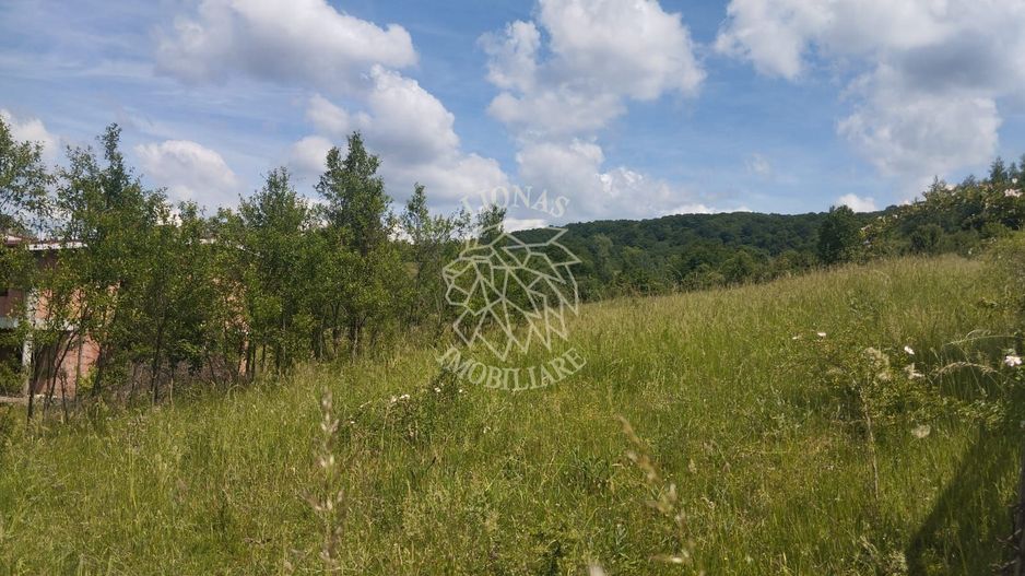 Teren 40.000 mp-ideal investitie-Slatinita - Poză 1