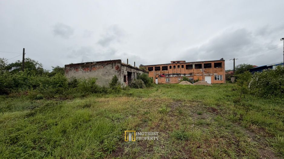 Hală industrială de vânzare – Sebiș, jud. Arad - Poză 5