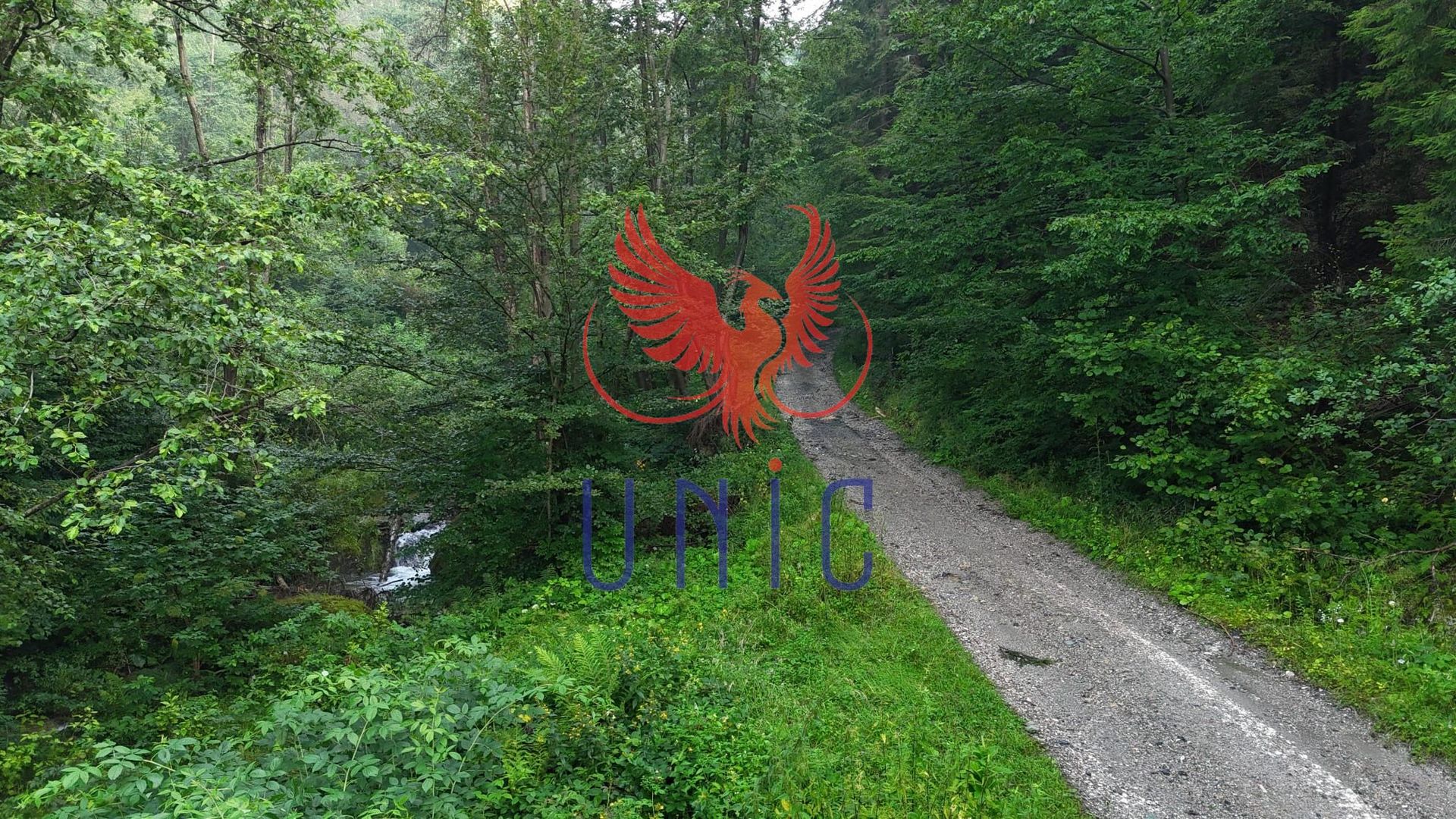 18000 mp de natura pura ,Lupeni, langa Straja - Poză 4