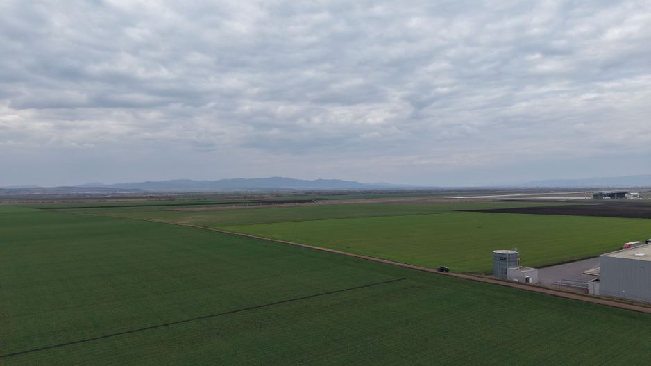 Teren de vânzare – 20.000mp – Ghimbav, lângă Parcul Industrial - Poză 4