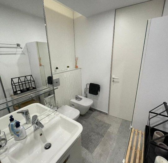 Herastrau 2 camere Cortina Residence Herastrau - zona Aviaţiei - Poză 6