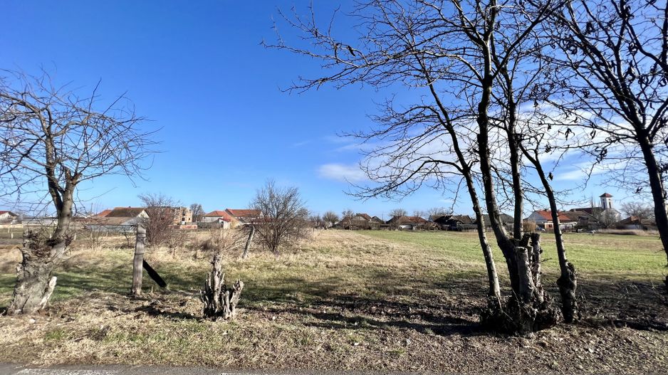 TEREN ZONA CENTRALA - Poză 3