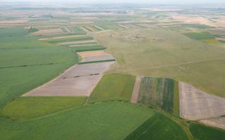 Teren arabil de 40 hectare în Zarand - Poză 1